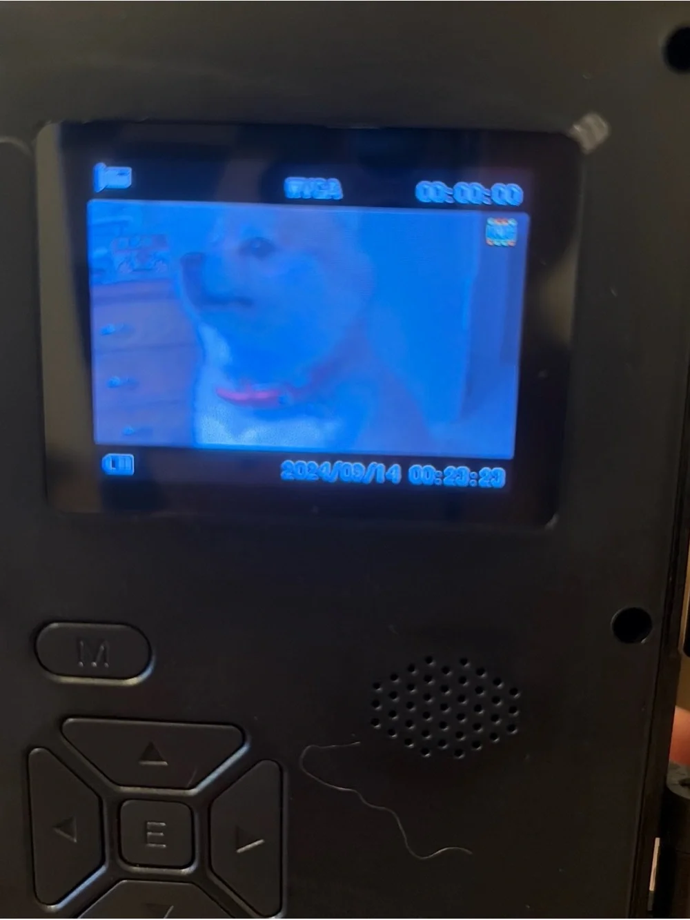 Trail Camera with memory card 32 GB 2.5K QHD 2720x1520